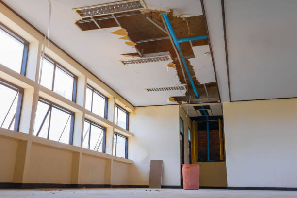 Best Water damage contractors near me  in Pleasant Garden, NC