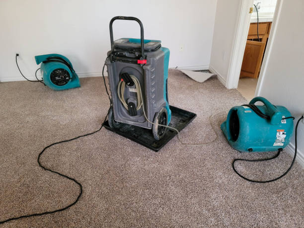 Best Professional water damage repair  in Pleasant Garden, NC
