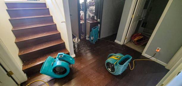 Carpet water damage restoration in Pleasant Garden, NC