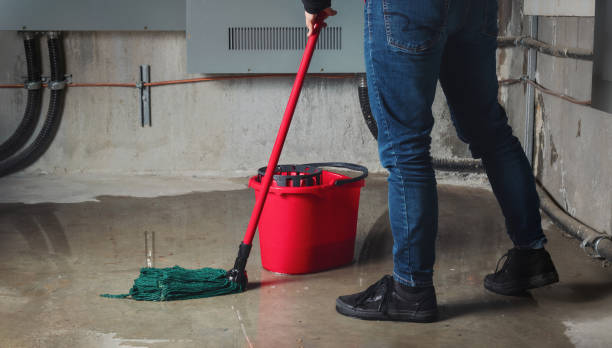 Best 24/7 water damage repair  in Pleasant Garden, NC