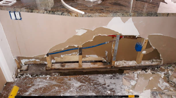Best Flood restoration services  in Pleasant Garden, NC