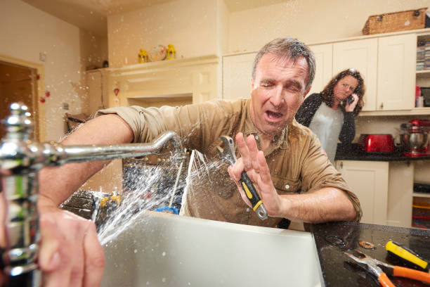 Best 24-hour water damage restoration  in Pleasant Garden, NC